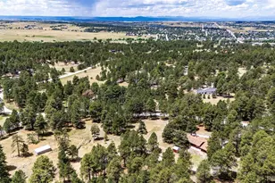 33802 Meadowlark Dr, Elizabeth, CO 80107 - Photo 45