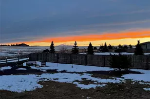 4305 Rapport Dr, Castle Rock, CO 80104 - Photo 35