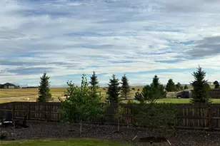 4305 Rapport Dr, Castle Rock, CO 80104 - Photo 41