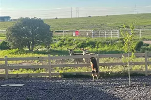 4305 Rapport Dr, Castle Rock, CO 80104 - Photo 37