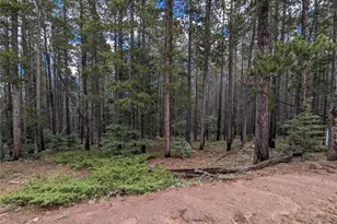 3022 Bolwell Ln, Fort Garland, CO 81133 - Photo 1