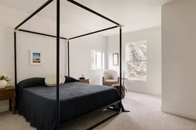 245 Albion Street, Denver, CO 80220 - Photo 33