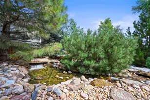 2980 Craig Ct, Castle Rock, CO 80109 - Photo 35