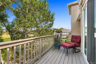 2109 Brierly Ct, Castle Rock, CO 80104 - Photo 21