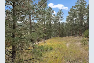 28155 Cragmont, Evergreen, CO 80439 - Photo 3