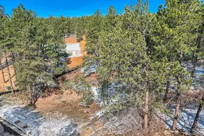 665 Copper Fox Place, Larkspur, CO 80118 - Photo 9