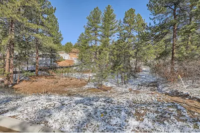 665 Copper Fox Place, Larkspur, CO 80118 - Photo 7