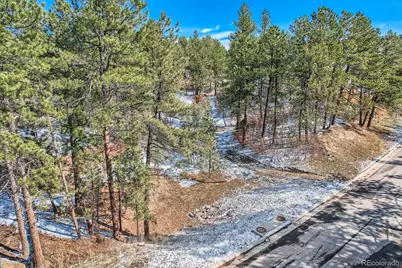 665 Copper Fox Place, Larkspur, CO 80118 - Photo 3