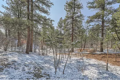 665 Copper Fox Place, Larkspur, CO 80118 - Photo 21
