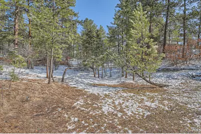 665 Copper Fox Place, Larkspur, CO 80118 - Photo 23