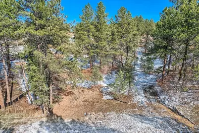 665 Copper Fox Place, Larkspur, CO 80118 - Photo 5