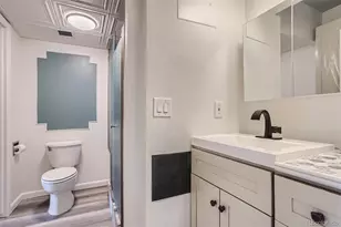 1265 Race St, Denver, CO 80206 - Photo 13