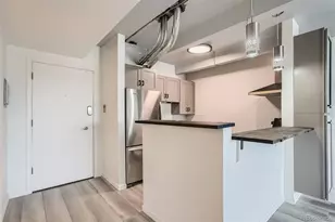 1265 Race St, Denver, CO 80206 - Photo 5