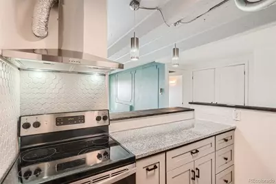 1265 Race Street #707, Denver, CO 80206 - Photo 9
