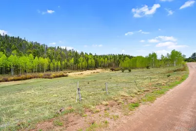 522 Hidden Valley Drive, Lake George, CO 80827 - Photo 33
