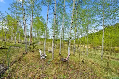 522 Hidden Valley Drive, Lake George, CO 80827 - Photo 5