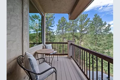 13695 May Long Court, Pine, CO 80470 - Photo 29