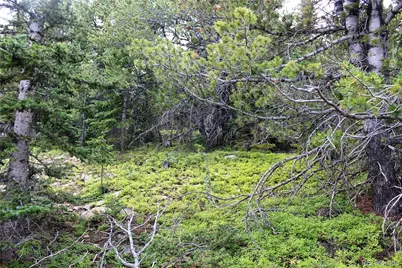 00 Fs 411.1, Black Hawk, CO 80422 - Photo 3