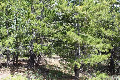 00 Fs 411.1, Black Hawk, CO 80422 - Photo 11