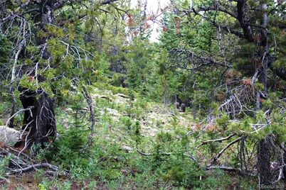 00 Fs 411.1, Black Hawk, CO 80422 - Photo 25