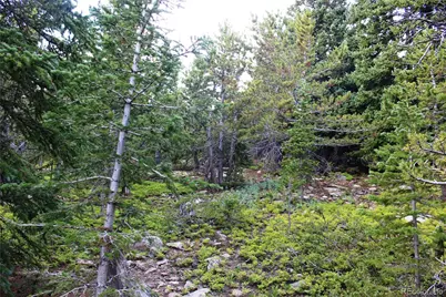 00 Fs 411.1, Black Hawk, CO 80422 - Photo 5