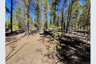 251 Virginia Avenue, Leadville, CO 80461 - Photo 7