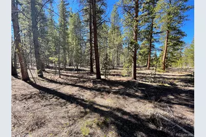 251 Virginia Avenue, Leadville, CO 80461 - Photo 1