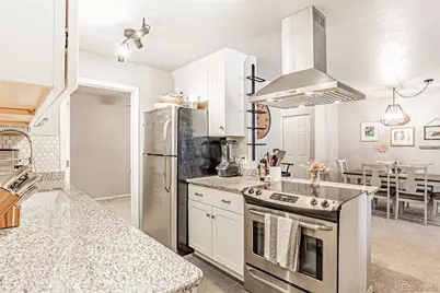 700 N Washington Street #207, Denver, CO 80203 - Photo 5