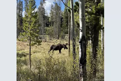 1384 Gcr 494, Grand Lake, CO 80447 - Photo 23