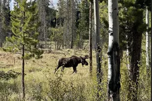 1384 Gcr 494, Grand Lake, CO 80447 - Photo 23