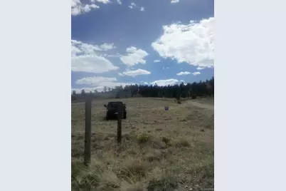 620 Stirrup Road, Hartsel, CO 80449 - Photo 1