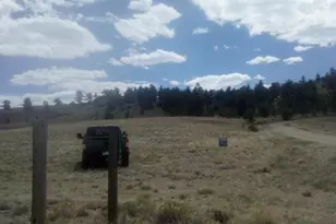 620 Stirrup Rd, Hartsel, CO 80449 - Photo 1