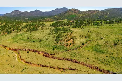 525 Brush Hollow Road, Westcliffe, CO 81252 - Photo 9