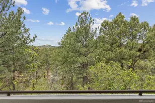 163 Glengarry Pl, Castle Rock, CO 80108 - Photo 45