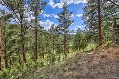 226 Hall Road, Bailey, CO 80421 - Photo 31