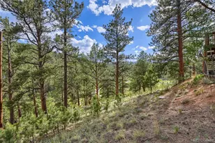 226 Hall Rd, Bailey, CO 80421 - Photo 31