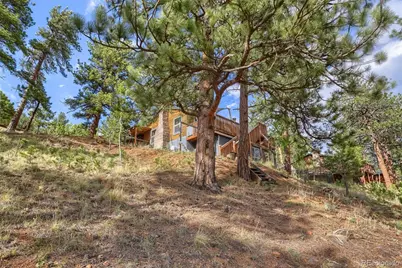 226 Hall Road, Bailey, CO 80421 - Photo 29