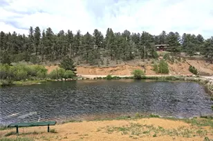 226 Hall Rd, Bailey, CO 80421 - Photo 37