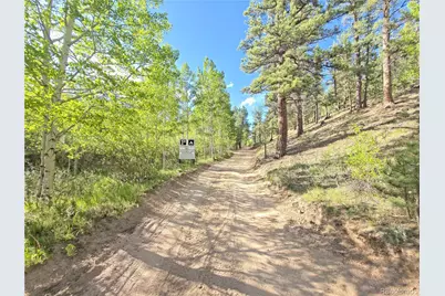 226 Hall Road, Bailey, CO 80421 - Photo 35