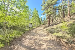226 Hall Rd, Bailey, CO 80421 - Photo 35