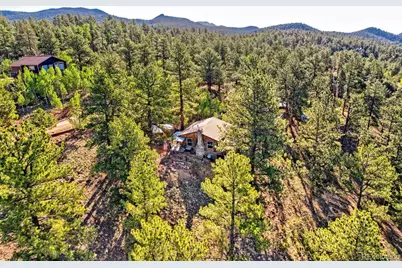 226 Hall Road, Bailey, CO 80421 - Photo 33
