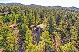 226 Hall Rd, Bailey, CO 80421 - Photo 33