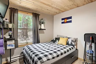 226 Hall Road, Bailey, CO 80421 - Photo 19
