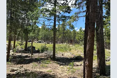 754 Mountain Meadows Drive, Black Hawk, CO 80422 - Photo 13