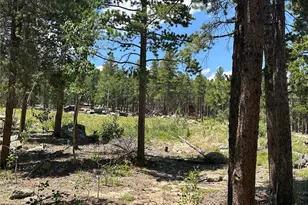 754 Mountain Meadows Dr, Black Hawk, CO 80422 - Photo 13