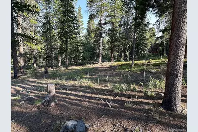 754 Mountain Meadows Drive, Black Hawk, CO 80422 - Photo 9