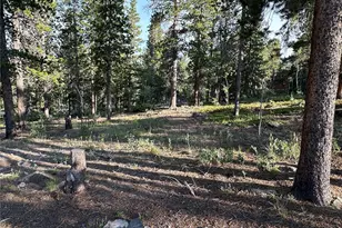 754 Mountain Meadows Dr, Black Hawk, CO 80422 - Photo 9