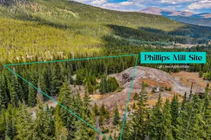 Fs 192, Alma, CO 80420 - Photo 1