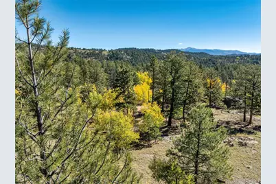 71 Pine Circle, Guffey, CO 80820 - Photo 17