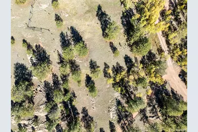 71 Pine Circle, Guffey, CO 80820 - Photo 25